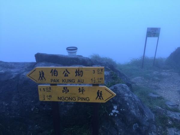易币付链接游戏画面